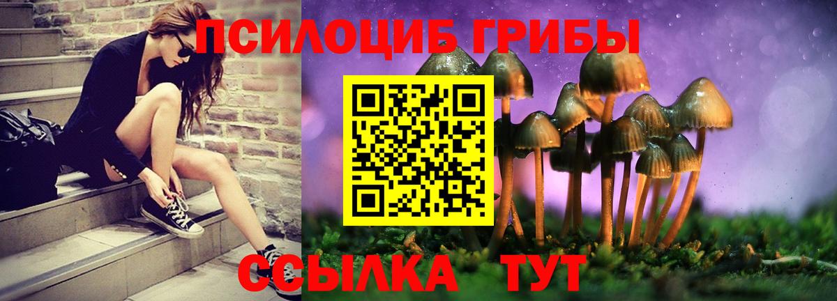 Галлюциногенные грибы мицелий  Вход с VPN  Минеральные Воды  Галлюциногенные грибы прущие грибы 